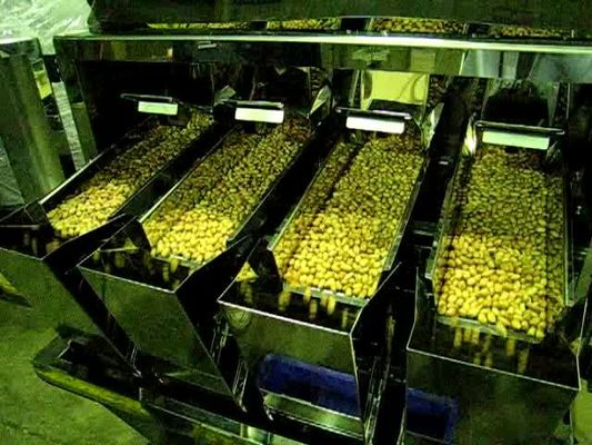 6500 macchina lineare capa del pesatore di grammo 4 per cioccolato