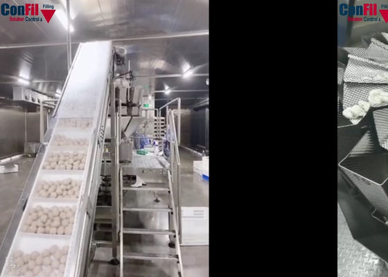 Macchina d'imballaggio sotto vuoto rotatoria capa 14 per l'impacchettatrice dell'alimento congelata polpetta