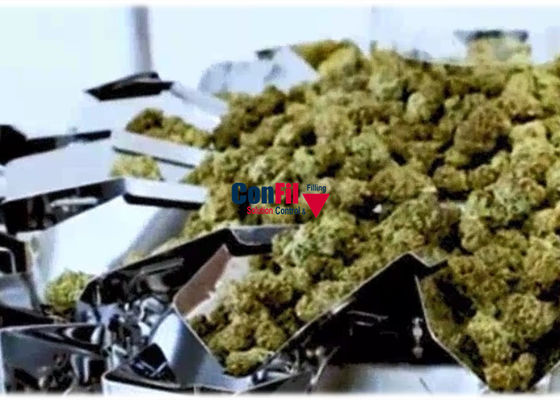 Macchina imballatrice del pesatore di Multihead di 50 grammi per il fiore della cannabis nei contenitori