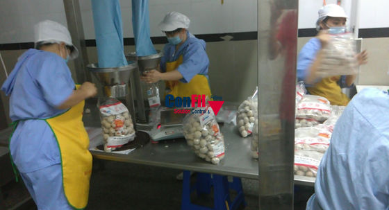 Il pesatore di Multihead della bascula di Multihead per alimento congelato 2.5Kg si raccoglie manualmente