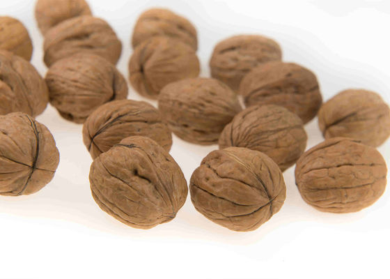Pesatore di Multihead della bascula di Multihead di 1,6 litri per la più grande macchina di rifornimento del saltatore delle noci matte
