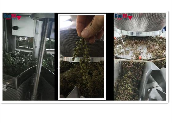 2000 macchine d'imballaggio sotto vuoto rotatorie di grammo per il prodotto fresco